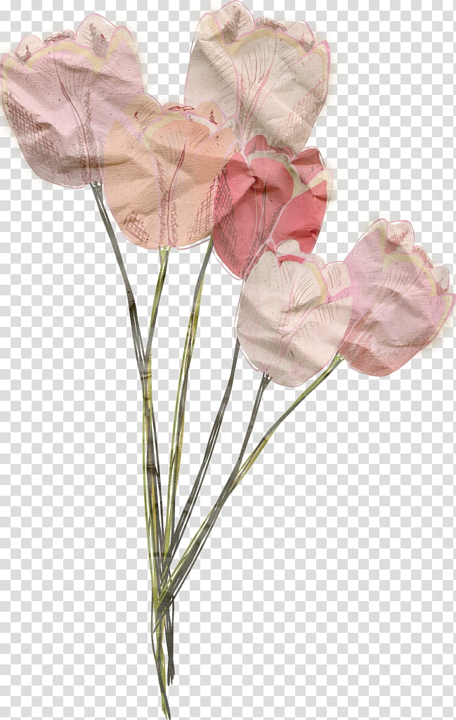 Watercolor Pink Flowers, Textile, Garden Roses, Creativity, Watercolor Painting, Cotton, Artificial Flower, Wire transparent background PNG clipart