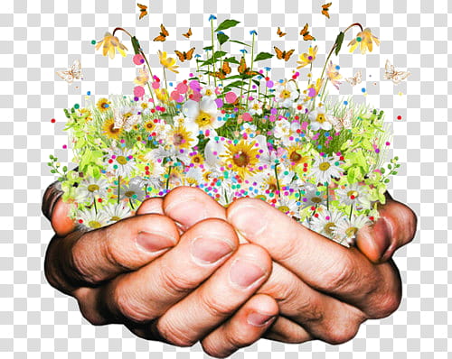 s, person holding flowers transparent background PNG clipart