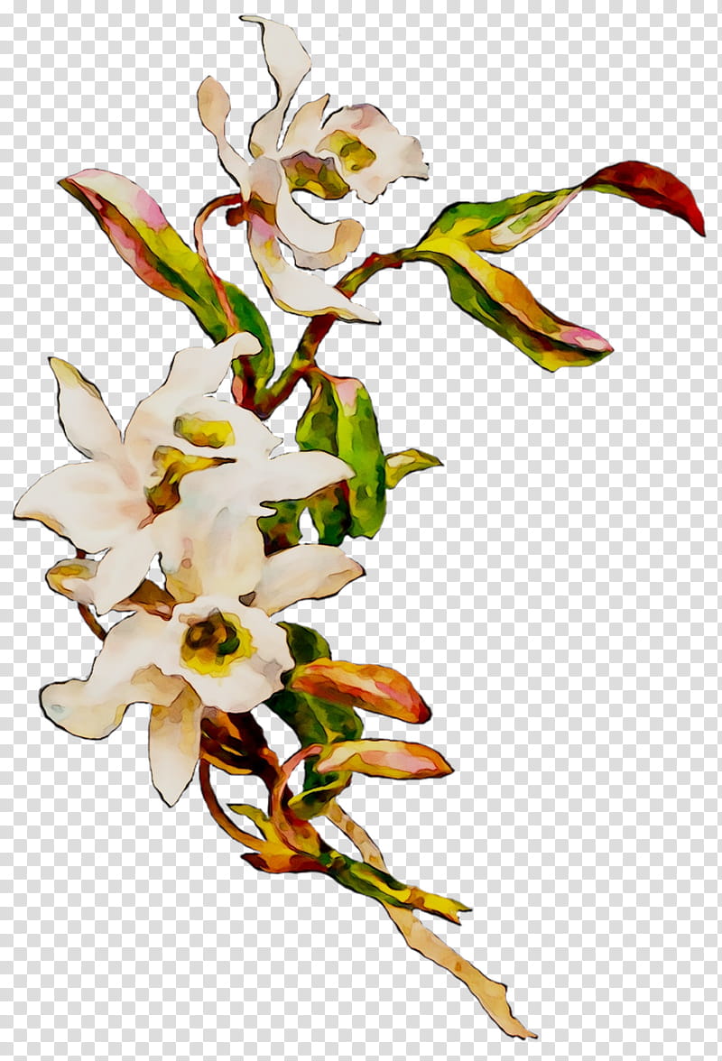 Flowers, Victorian Designs, Orchids, Logo, Plant, Cut Flowers, Pedicel, Terrestrial Plant transparent background PNG clipart