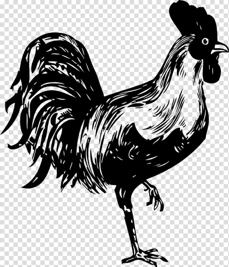Bird Drawing, Chicken, Rooster, Stencil, Silhouette, Painting, Stencil Graffiti, Comb transparent background PNG clipart
