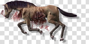 Dead Horse , brown horse illustration transparent background PNG clipart