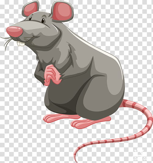 Cartoon Mouse, Brown Rat, Laboratory Rat, Cartoon, Muridae, Pest, Muroidea, Snout transparent background PNG clipart