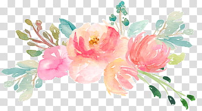 Recursos Watercolor flower S, pink and white floral textile transparent background PNG clipart