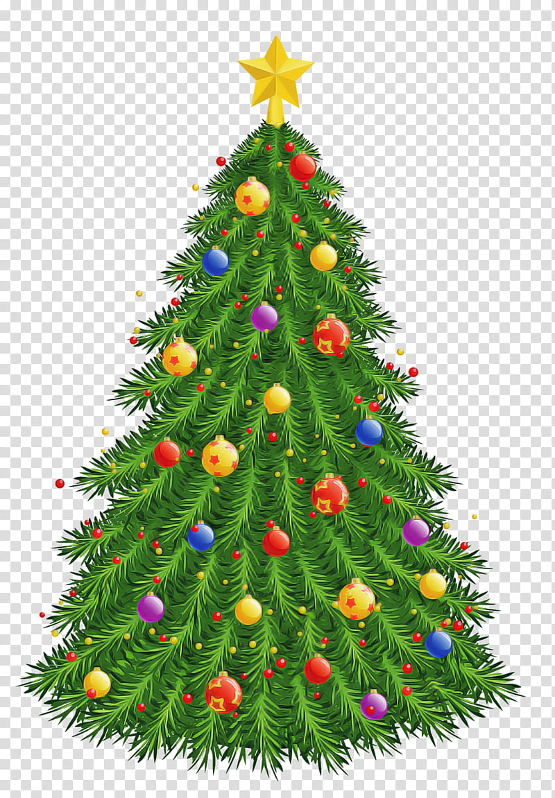 Christmas tree, Christmas Decoration, Colorado Spruce, Christmas Ornament, Oregon Pine, Holiday Ornament, Christmas transparent background PNG clipart Christmas tree, Christmas Decoration, Colorado Spruce, Christmas Ornament, Oregon Pine, Holiday Ornament, Christmas transparent background PNG clipart