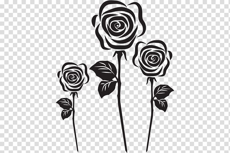 Black And White Flower, Drawing, Rose, Garden Roses, Still Life Pink Roses, Cut Flowers, Flower Bouquet, Black And White transparent background PNG clipart