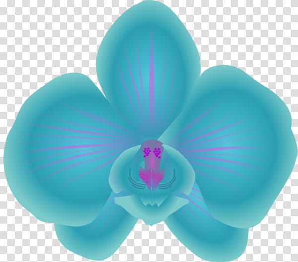 Green Flower, Orchids, Violet, Purple, Color, Fuchsia, Turquoise, Petal, Teal transparent background PNG clipart