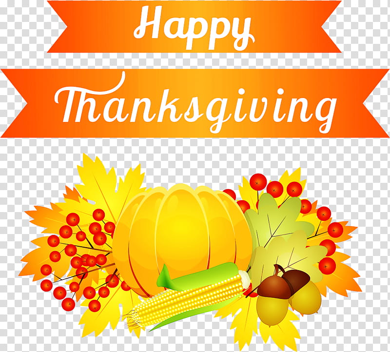 Thanksgiving, Yellow, Leaf, Plant, English Marigold, Natural Foods, Autumn transparent background PNG clipart