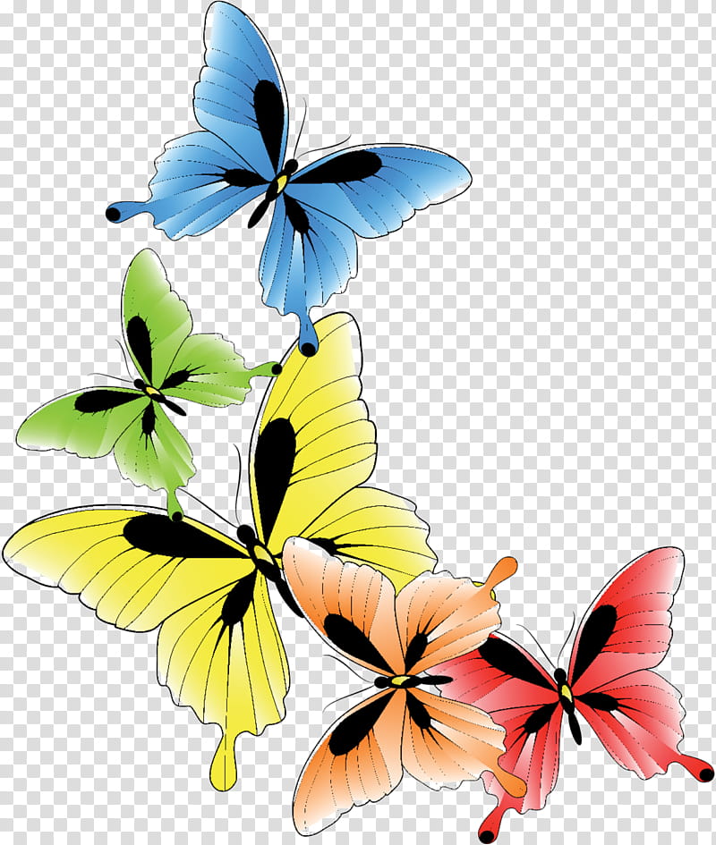 Flower, Butterfly, Insect, Monarch Butterfly, Grayscale, Mobile Phones, Lepidoptera, Moths And Butterflies transparent background PNG clipart