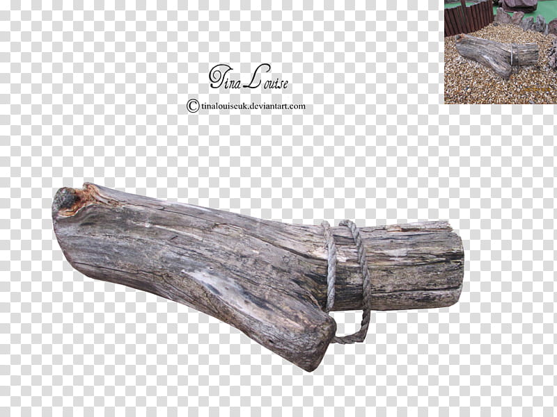 Log, brown driftwood transparent background PNG clipart