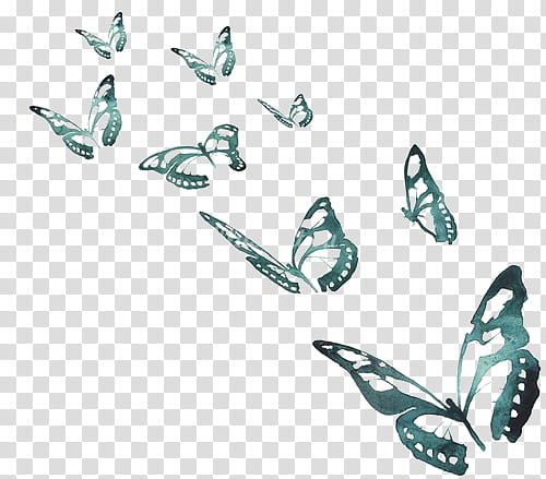 flying teal butterflies illustration transparent background PNG clipart