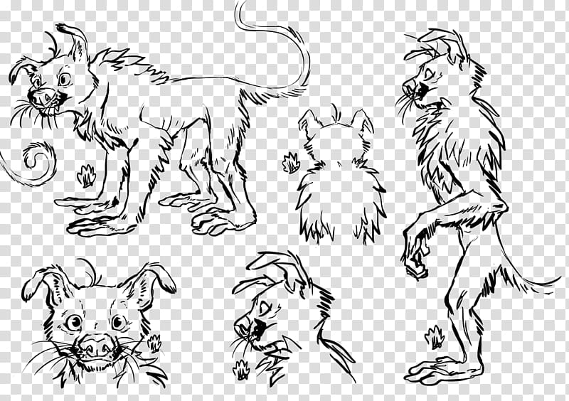 Realistic Marsupilami Male Line Art FREE transparent background PNG clipart