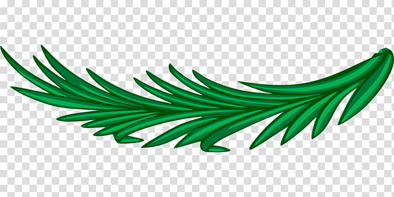 Family Tree, Bay Laurel, Laurel Wreath, Coat Of Arms Of Peru, Olive Wreath, Leaf, Olive Branch, Green transparent background PNG clipart