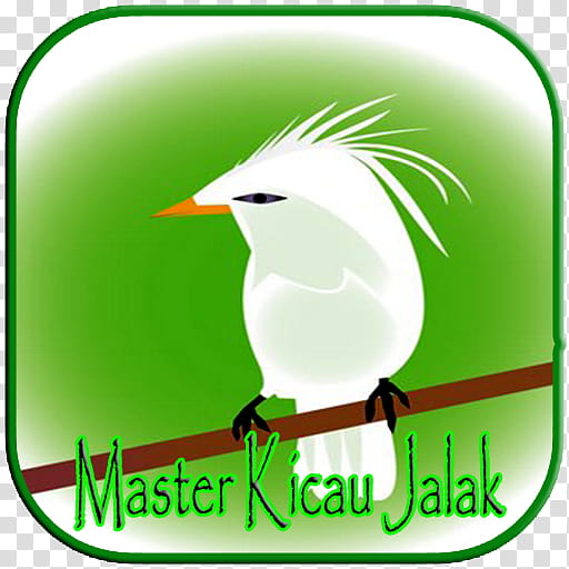Green Grass, Beak, Logo, Android, Starling, Text Messaging, Bird, Area transparent background PNG clipart