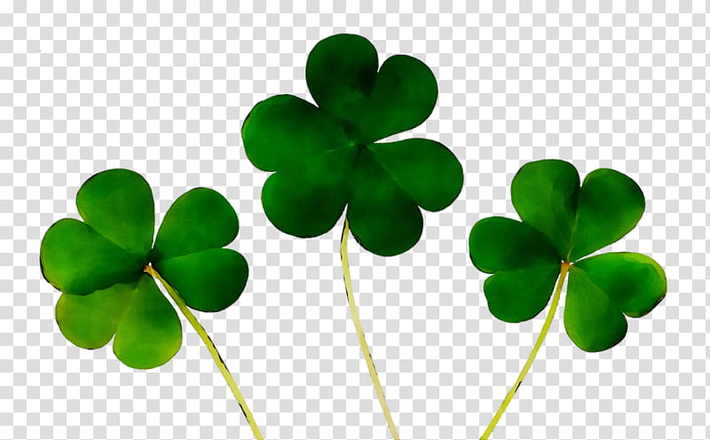 Saint Patricks Day, Fourleaf Clover, Shamrock, Luck, Leprechaun, Good Luck Charm, Superstition, Green transparent background PNG clipart