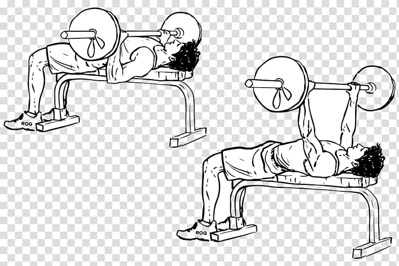 Fitness, Bench Press, Barbell, Dumbbell, Exercise, Incline Bench Press, Fitness Centre, Physical Fitness transparent background PNG clipart