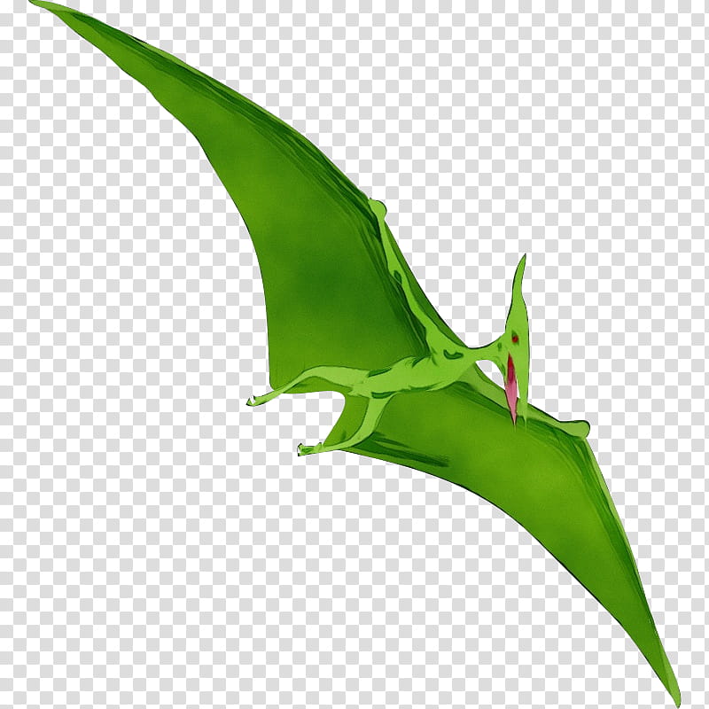 Dinosaur, Pteranodon, Pterodactyl, 3D Computer Graphics, Pterosaurs, Plant  transparent background PNG clipart