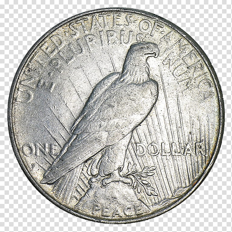 Eagle Drawing, Washington Quarter, Peace Dollar, Dollar Coin, Morgan Dollar, Kennedy Half Dollar, Silver, Queens Beasts transparent background PNG clipart