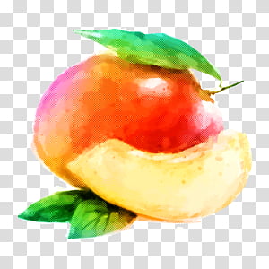 food fruit plant transparent background PNG clipart thumbnail