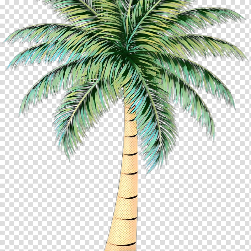 Palm Oil Tree, Pop Art, Retro, Vintage, Asian Palmyra Palm, Oil Palms, Coconut, Palm Trees transparent background PNG clipart
