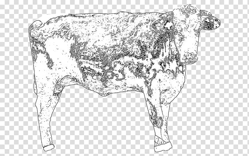 bovine bull cow-goat family line art dairy cow, Cowgoat Family, Calf, Live transparent background PNG clipart