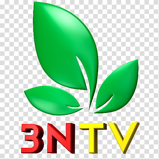 Green Leaf Logo, Television, Todaytv, Television Channel, Engineering, Settop Box, System, Twitter transparent background PNG clipart