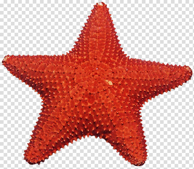 starfish marine invertebrates star transparent background PNG clipart