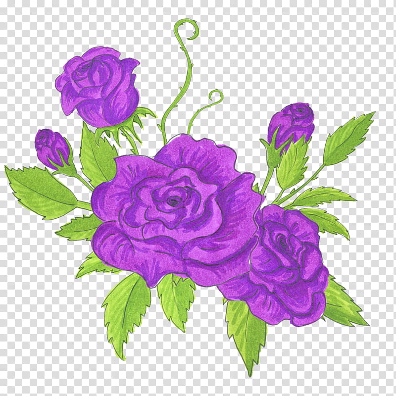 Blue Watercolor Flowers, Cabbage Rose, Floral Design, Painting, Drawing, Watercolor Painting, Garden Roses, Violet transparent background PNG clipart