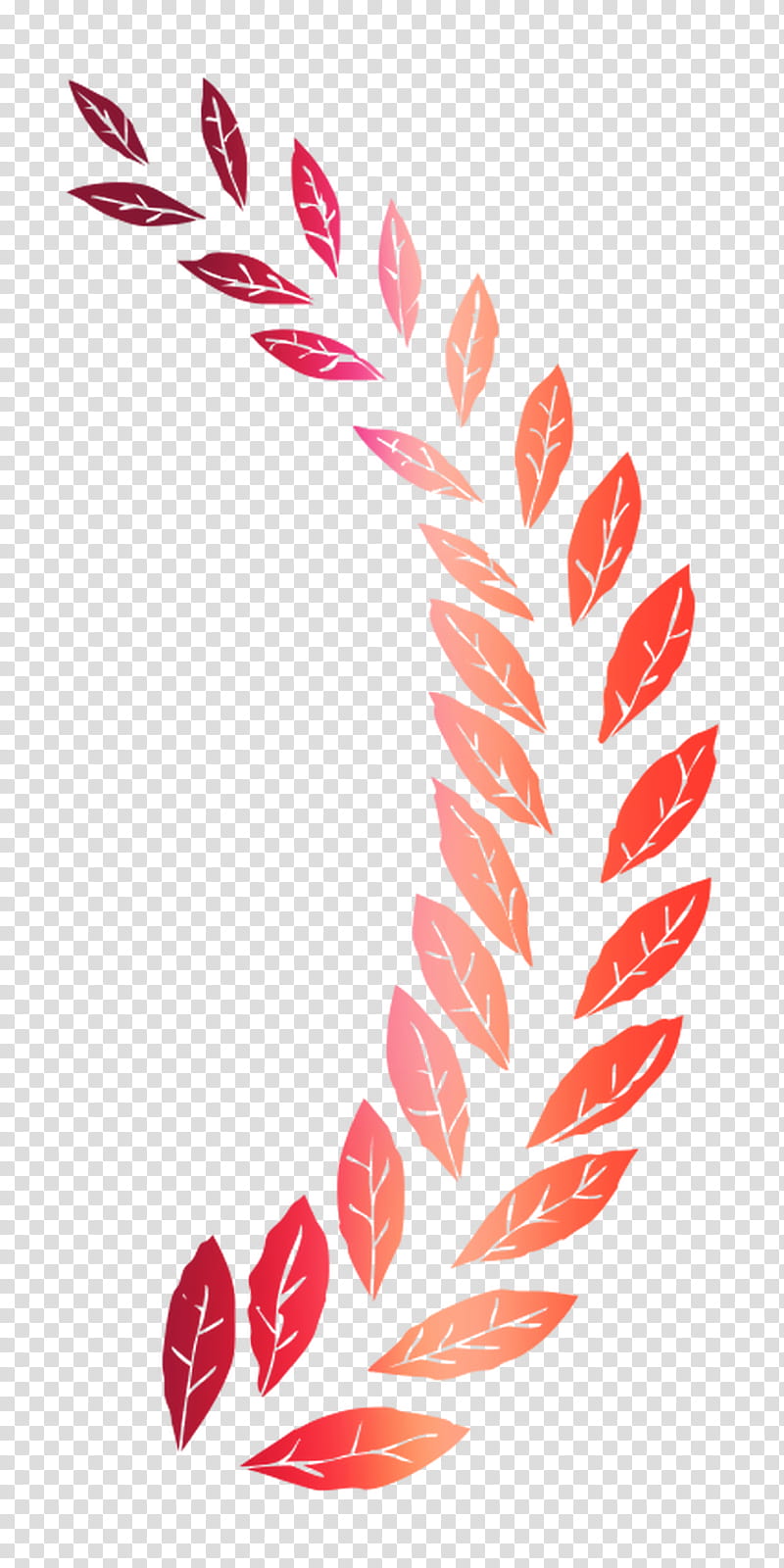 Plant Leaf, Petal, Sports, System, Stopwatches, tube, Line transparent background PNG clipart