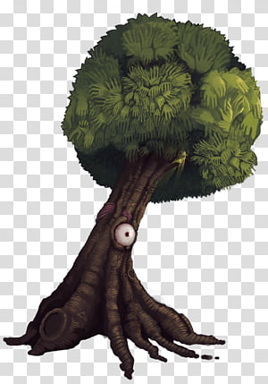 Tree, Plant transparent background PNG clipart thumbnail
