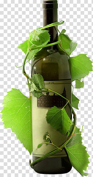 Green Leaf, Red Wine, Laujar De Andarax, Poster, Changyu, Advertising, Drink, Grape, Plant, Glass Bottle transparent background PNG clipart