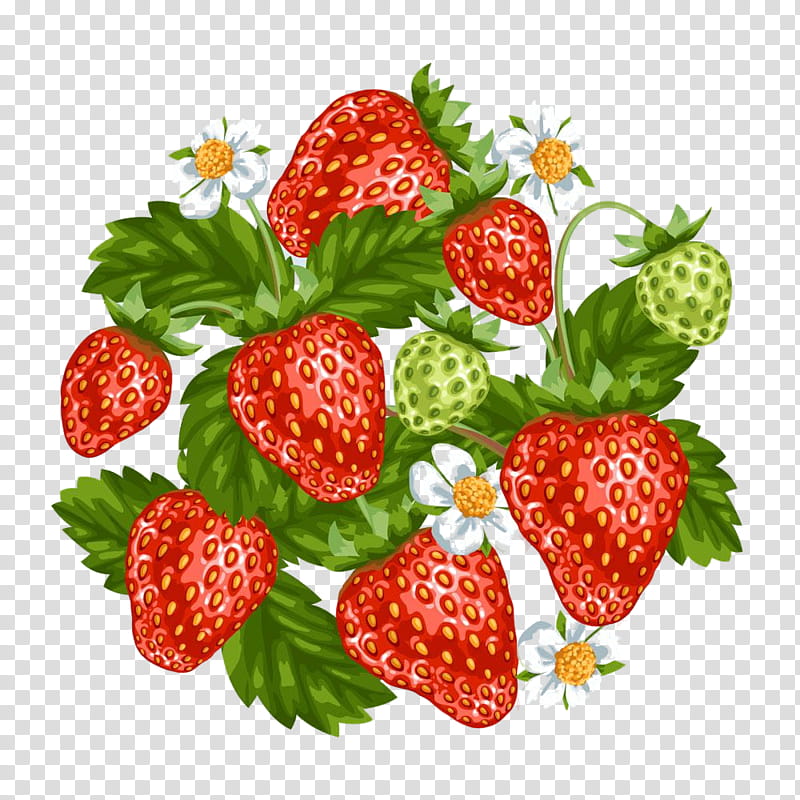 Strawberry, Strawberries, Fruit, Natural Foods, Frutti Di Bosco, Plant, Rubus, West Indian Raspberry transparent background PNG clipart