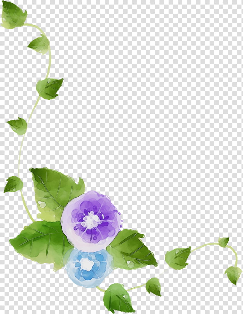 violet flower purple plant petal, Watercolor, Paint, Wet Ink, Leaf, Morning Glory, Morning Glory Family, VIOLA transparent background PNG clipart