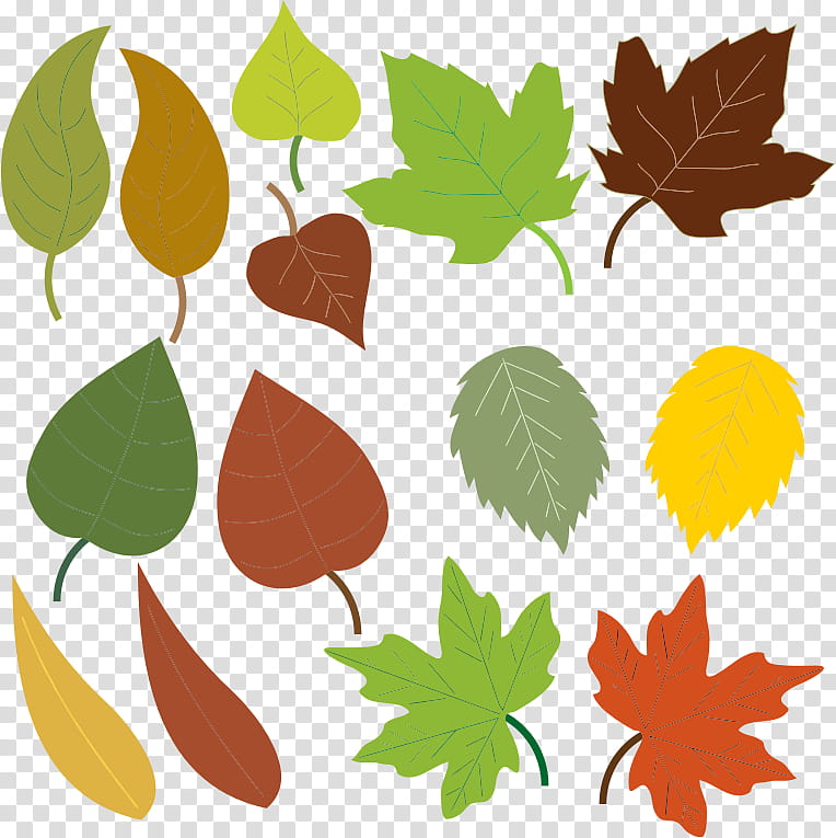 Autumn Tree Branch, Leaf, Plant Stem, Maple, Autumn Leaf Color, Plants, Maple Leaf, Flower transparent background PNG clipart