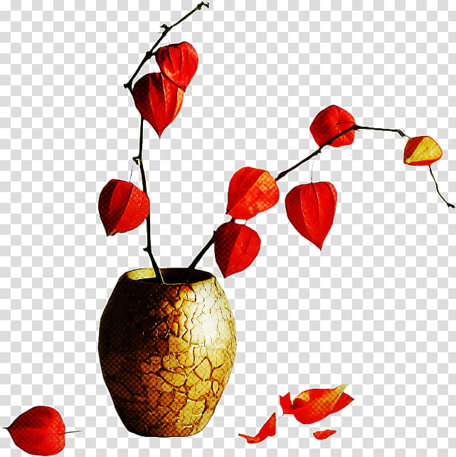 leaf plant flower coquelicot transparent background PNG clipart