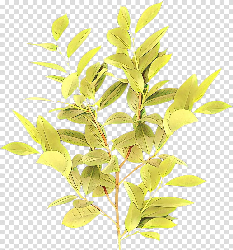 Laurel Leaf, Curry, Chicken Tikka Masala, Chicken Curry, Bay Laurel, Herb, Chana Masala, Plants transparent background PNG clipart