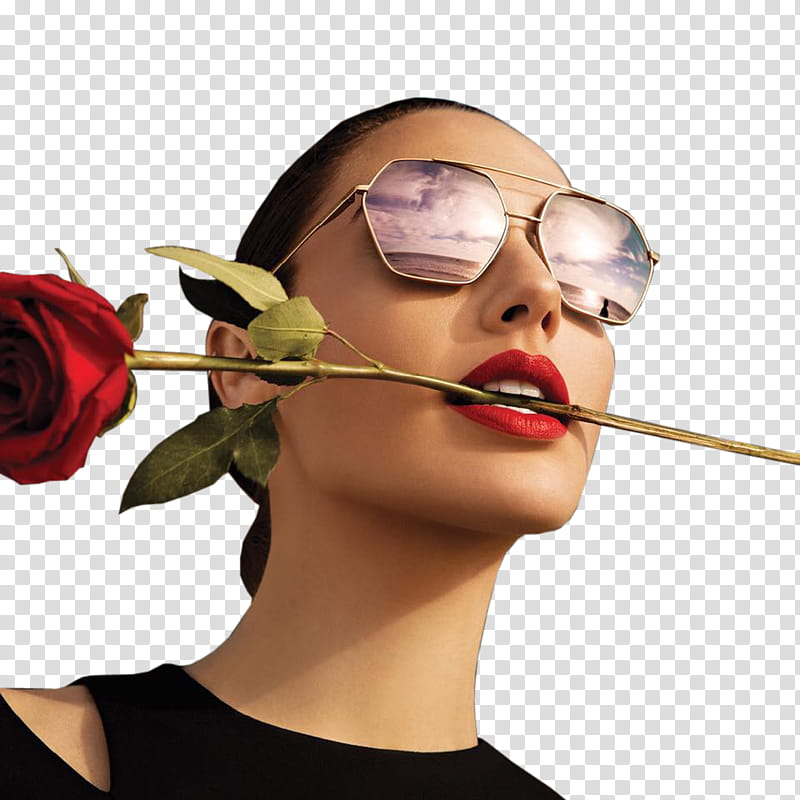 Gal Gadot, Gal () transparent background PNG clipart