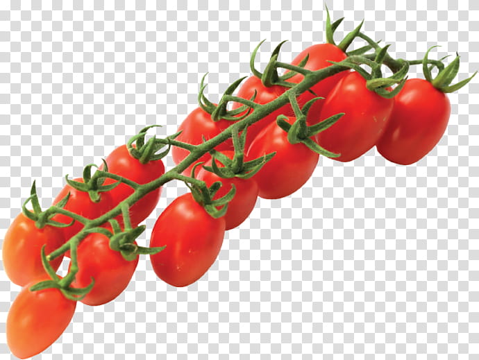 Tomato, Natural Foods, Cherry Tomatoes, Vegetable, Fruit, Solanum, Bush Tomato, Plant transparent background PNG clipart