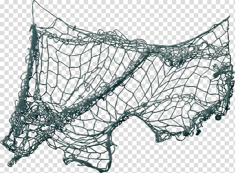 Fishing net. Transparent black fishing net on white background