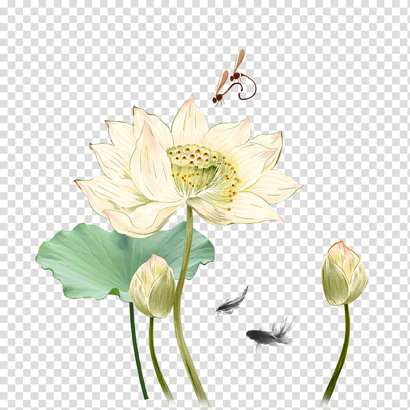 Flowers, Sacred Lotus, Ink Wash Painting, Pond, Flora, Plant, Petal, Plant Stem transparent background PNG clipart