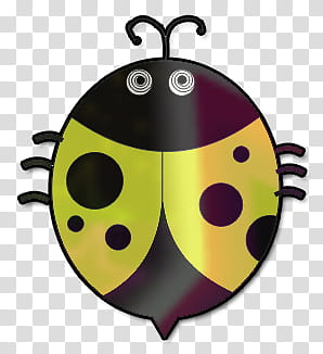 Mariquitas , black and yellow ladybug transparent background PNG clipart