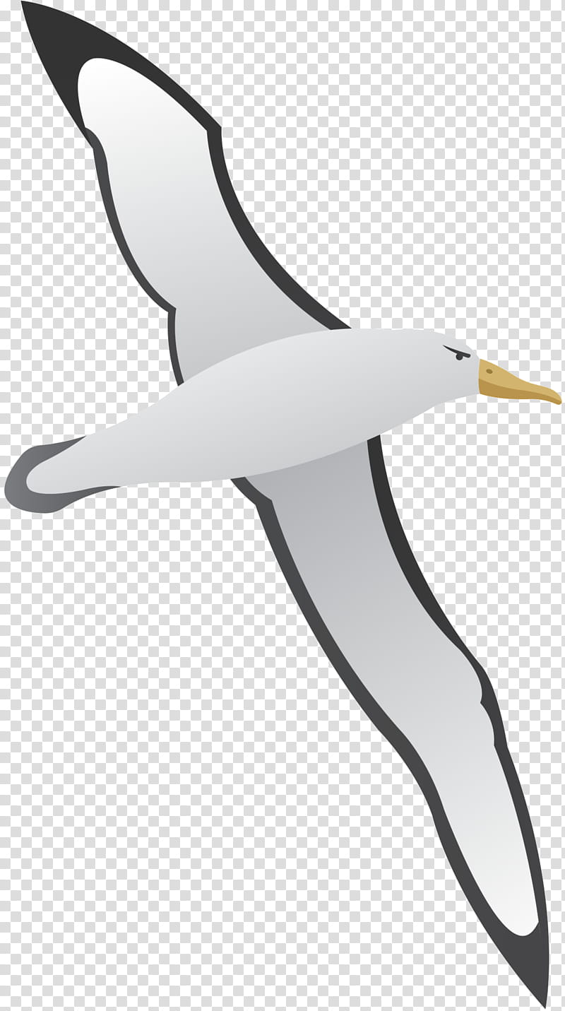 Cartoon Bird, Gulls, Gannets, Beak, Neck, Albatross, Seabird, Suliformes transparent background PNG clipart