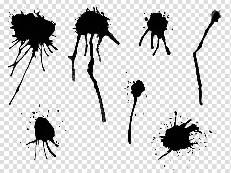 splatter brushes, black ink transparent background PNG clipart