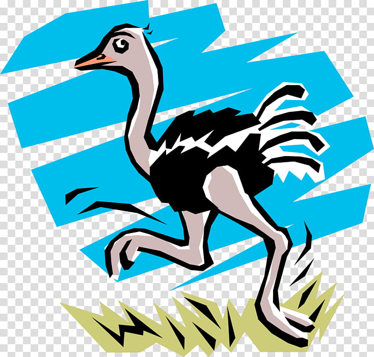 Kiwi Bird, Common Ostrich, Emu, Cartoon, Ostriches, Animal, Animation, Flightless Bird transparent background PNG clipart