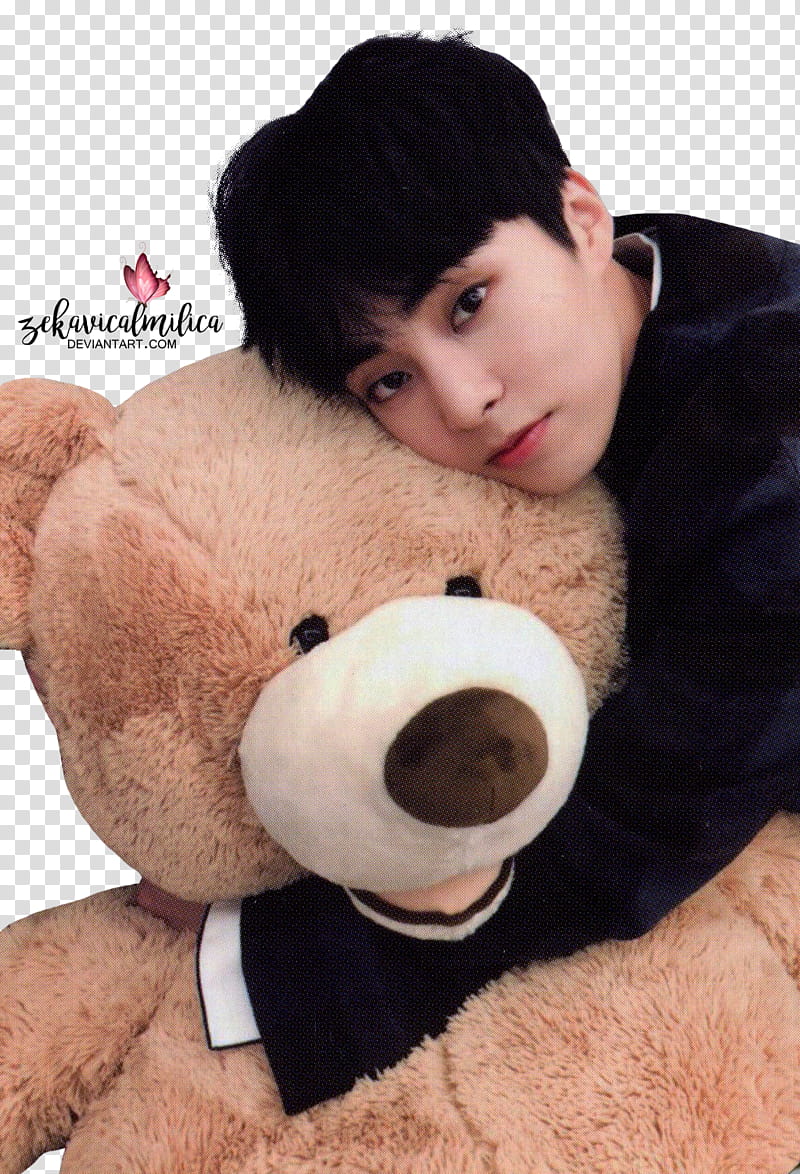 EXO Xiumin Universe, man hugging teddy bear transparent background PNG clipart