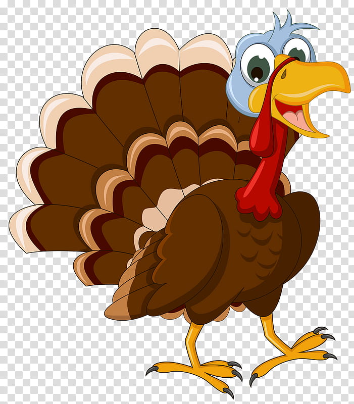Turkey Thanksgiving, Black Turkey, Turkey Meat, Roasted Turkey, Thanksgiving Dinner, Domestic Turkey, Beak, Chicken transparent background PNG clipart
