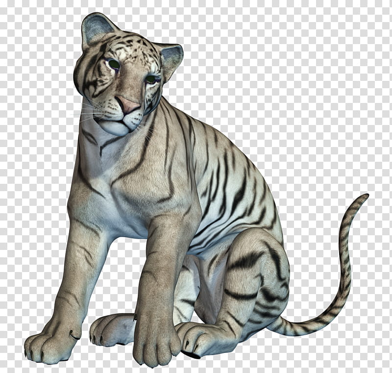 White Tiger , man wearing white suit jacket figurine transparent background PNG clipart