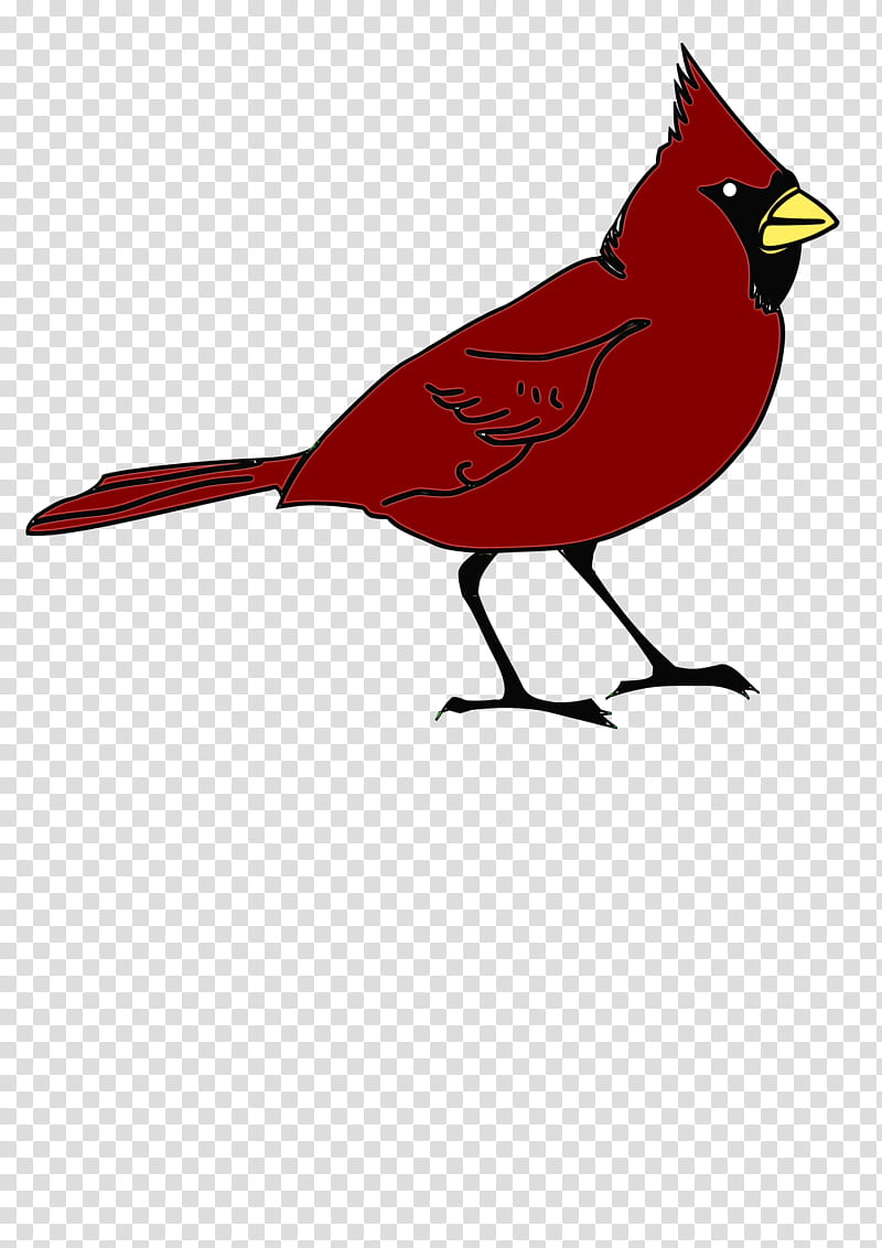 Northern cardinal Bird Drawing Silhouette, Watercolor, Paint, Wet Ink, Logo, Beak, Songbird, Perching Bird transparent background PNG clipart