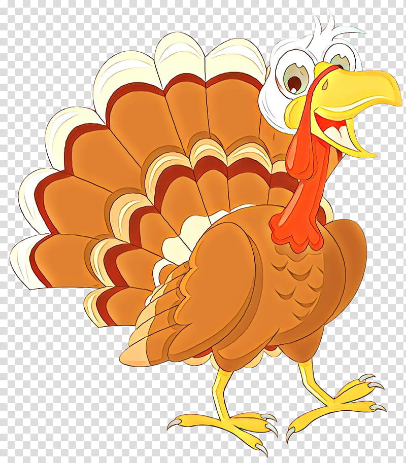 Thanksgiving Turkey Drawing, Black Turkey, Turkey Meat, Cartoon, Bird, Chicken, Beak, Rooster transparent background PNG clipart