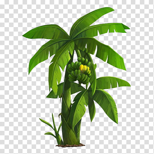 Banana Leaf, Poster, Banana Plantation, Printing, Tree, Flowerpot, Houseplant, Plant Stem transparent background PNG clipart