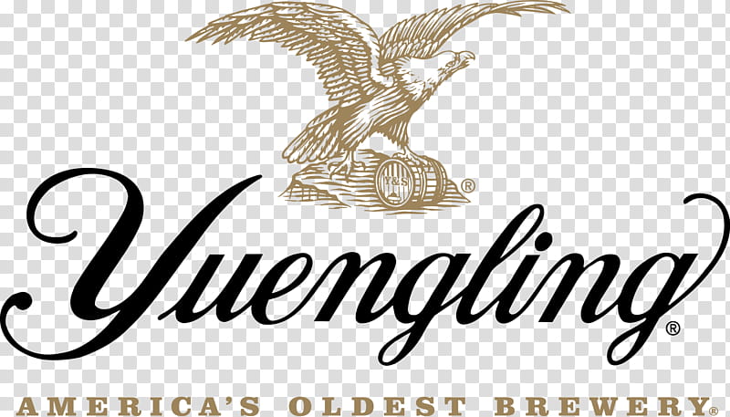 Bird Line Art, Yuengling, Logo, Yuengling Traditional Amber Lager, Beer, Brewery, Calligraphy, Beak transparent background PNG clipart